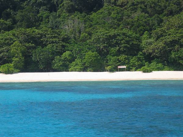 Turquoise water in front of white sand beach and dense tropical forest