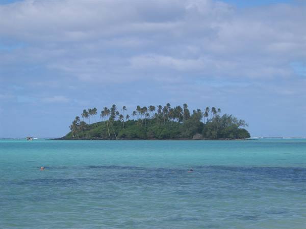 Swimmers in the turquoise lagoon in front of a palm-covered islet