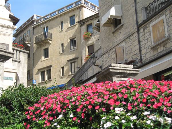 Pink flowers in front of old stone buildings in San Marino