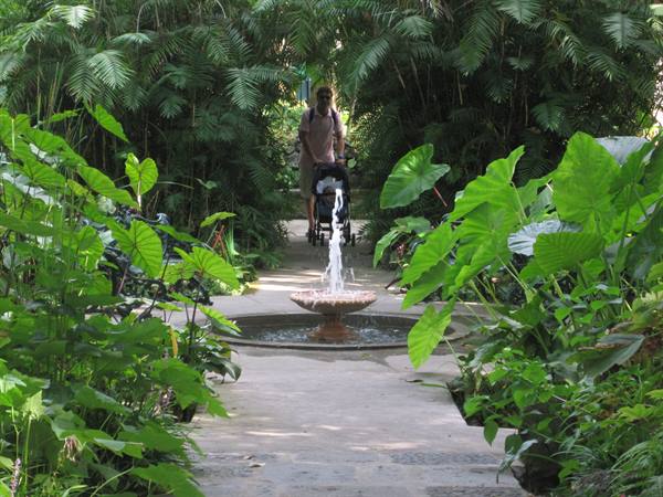 Man pushing stroller along stone path with fountain amid tropical plants