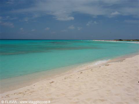 CAYO DE AGUA