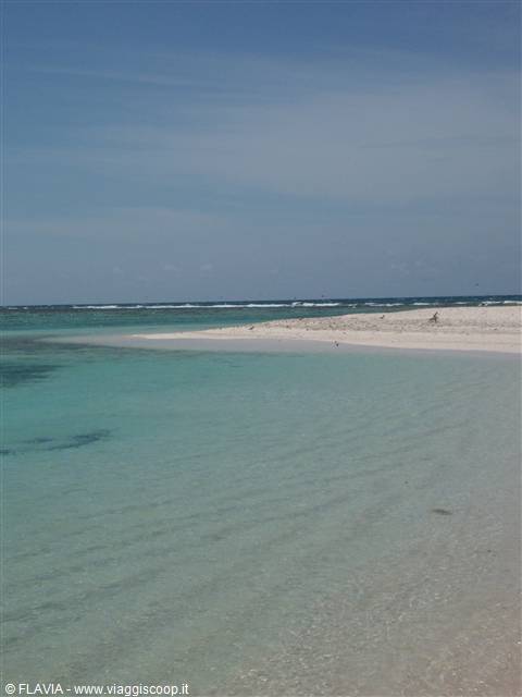 NORONQUI