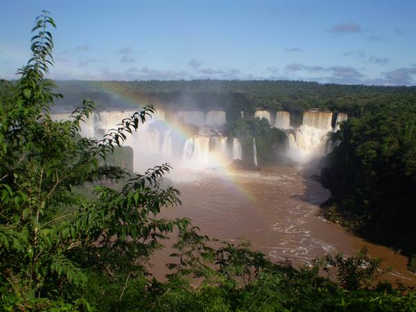 Rainbow over Iguazú Falls, brown river amid lush green forest