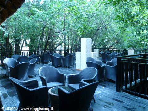 Terrace with grey wicker armchairs among dense trees, natural light