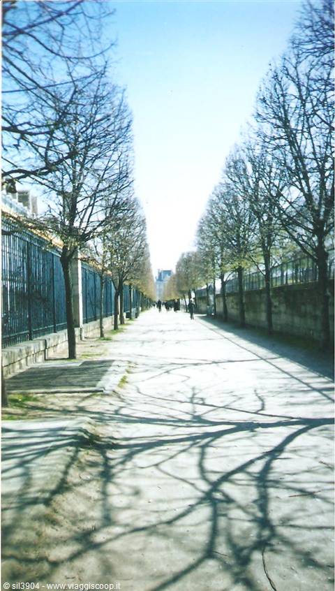 Tree-lined path with bare trees casting shadows, people walking in distance