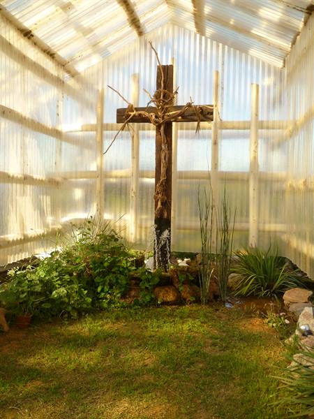Wooden crucifix wrapped in vine, golden light through translucent walls, green plants below