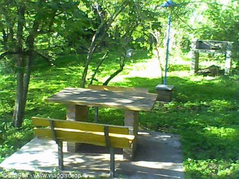 Wooden table and bench in a park, sunlight through trees