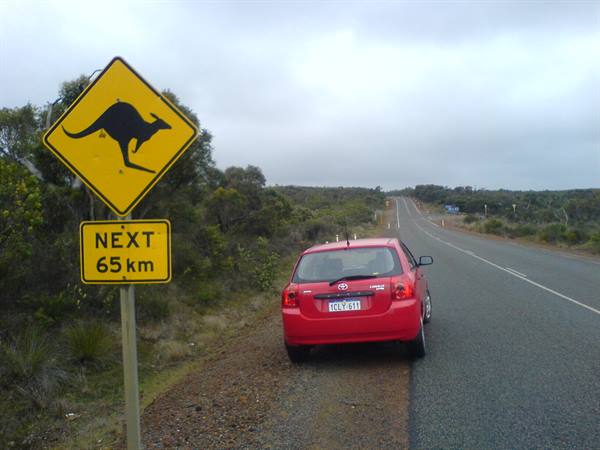 Red car parked beside yellow kangaroo road sign under an overcast sky