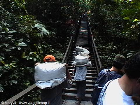 Porters carrying heavy sacks climb the long metal staircase through dense jungle
