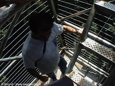 Man climbing metal stairs of the canopy observation tower above the forest
