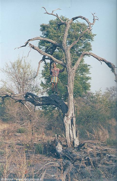 Woman in pink shirt standing on a large dead tree