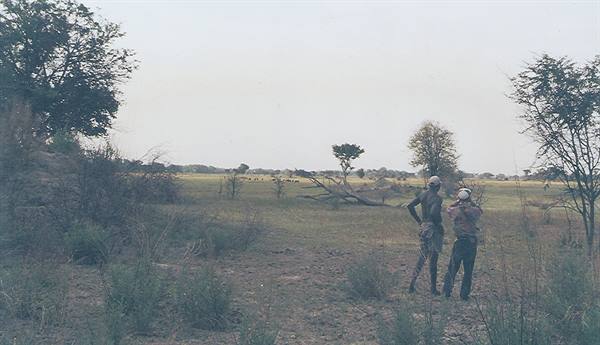 Two men watch a savanna with scattered trees and distant animals