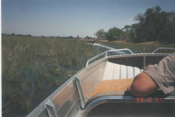 Aluminum boat speeding past reeds on the Okavango Delta river