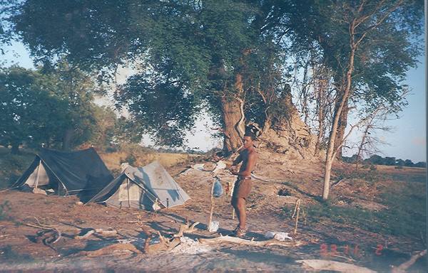 Camping under large trees, two tents and a man preparing something in the sun
