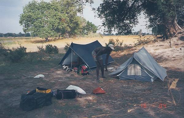 Camping under a large tree, man between two tents and backpacks, warm light