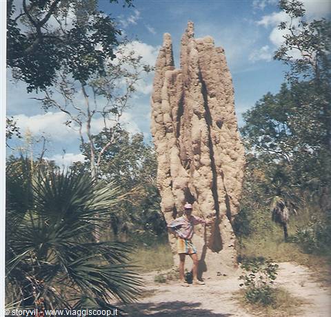 Tourist standing beside a giant cathedral termite mound in the Australian bush