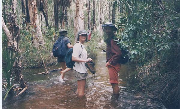 Hikers with backpacks wade through a muddy creek among eucalyptus and palms