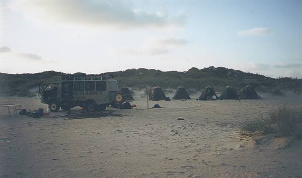 Expedition truck and green tents on sand among dunes, soft light
