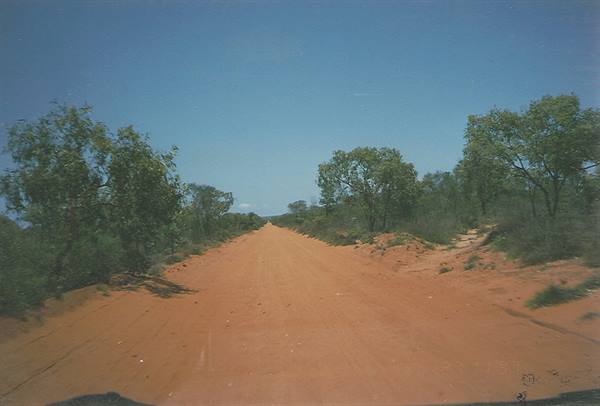 Red dirt road winding through trees and sand, blue sky, Australian outback