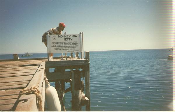 Tourist in red hat watches the sea from the wooden Monkey Mia jetty