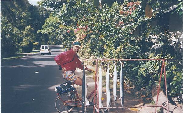 Man on bicycle next to barracuda fish hung on red frame, tree-lined road