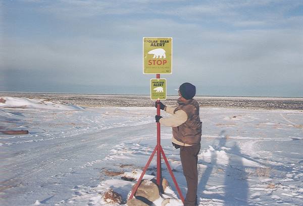 Person beside red post with Polar Bear Alert stop sign on snowy tundra, Churchill