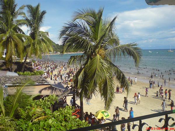 Crowded tropical beach with palm trees and swimmers under blue sky