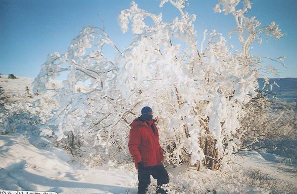 Man in red jacket beside an ice-covered tree under blue sky