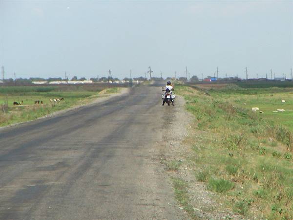Motorcycle riding on a rural asphalt road between grassy fields and grazing cattle