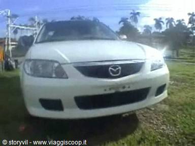 White Mazda car parked on grass, sunlight, palm trees in background