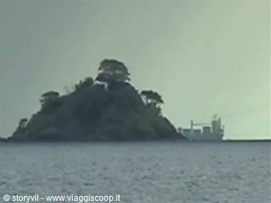 Tree-covered island in front of a cargo ship on grey sea