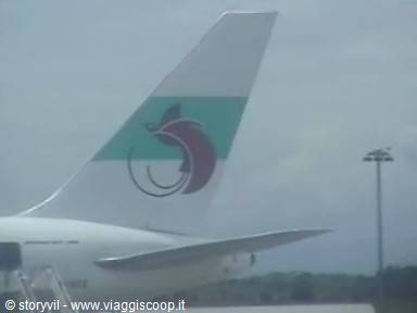 Turkish Airlines plane tail with logo on the apron under grey sky