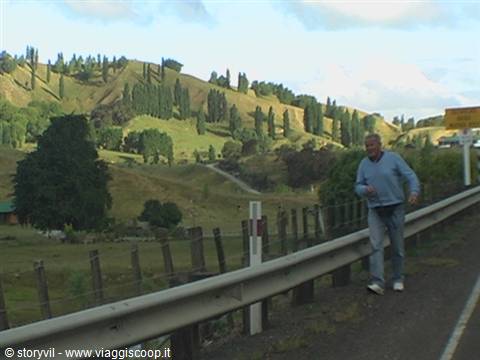 Man in blue sweater walks beside guardrail, green hills with cypress trees behind
