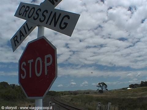 Railway crossing sign with red STOP below a cloudy sky