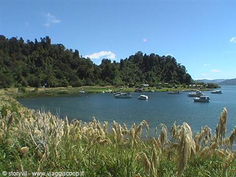 Boats anchored in a turquoise bay, forested hills and wild grasses under a blue sky