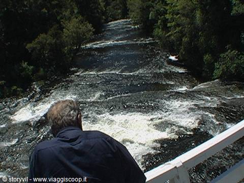 Man on wooden bridge watching rushing rapids river between green trees