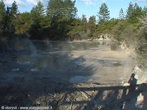 Steaming hot spring among trees, grey mud and blue sky at Wai-O-Tapu
