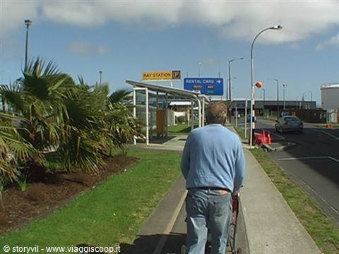 Man with trolley walks toward airport rental cars, palm trees and sky