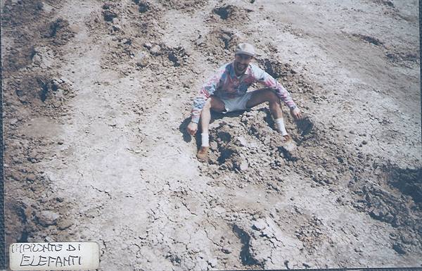 Man in cap crouching among fossilized elephant footprints in dried mud