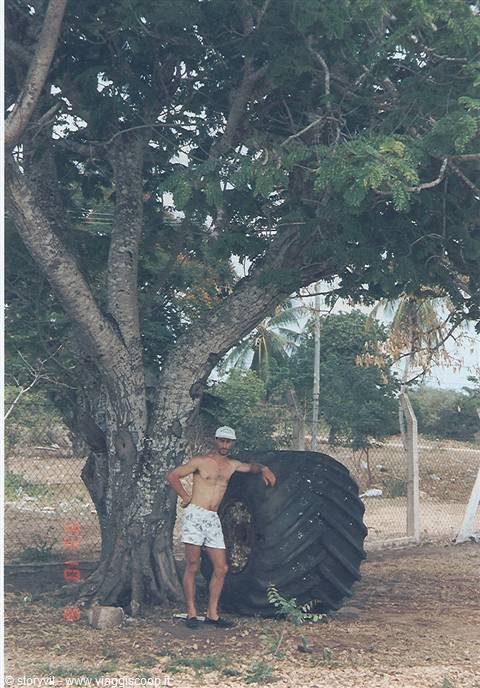 Man in cap and shorts leaning on a giant tire under a tree