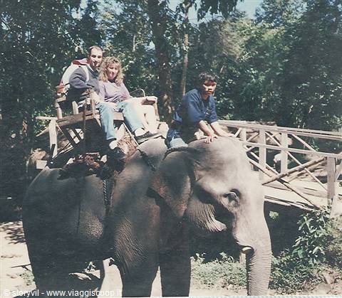 Tourists on a wooden seat atop an elephant, mahout in front, wooden bridge among trees