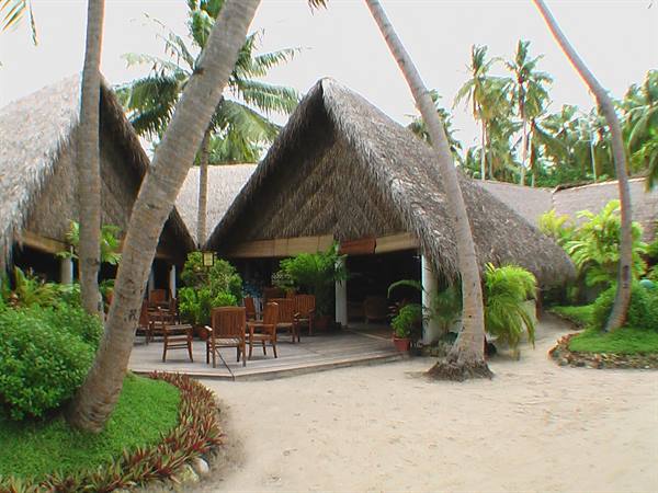 reception of fialhohi