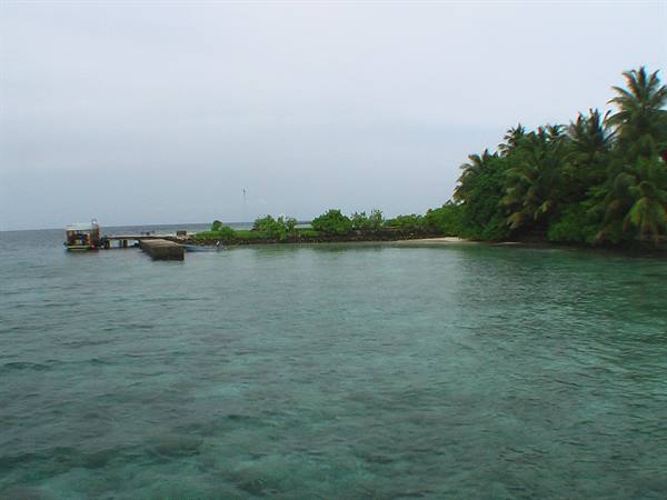 Wooden pier on tropical island with palm trees and turquoise water