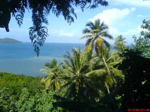 Tropical palms over turquoise bay, distant island under bright sunlight