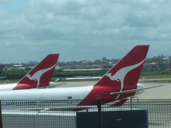 Red tails with white kangaroo of Qantas planes parked at the airport