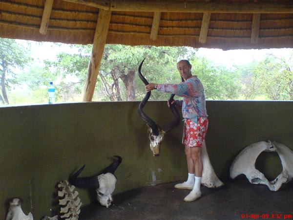 Man touching a kudu skull with long horns inside a thatched shelter