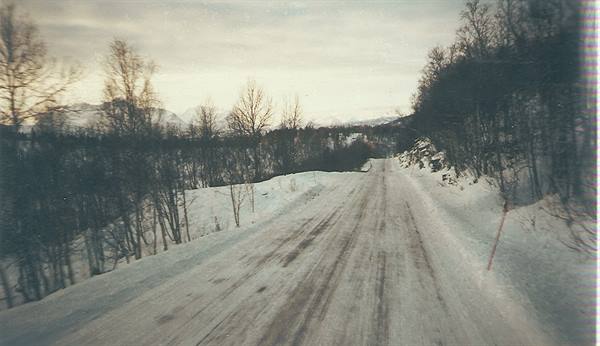 Snow-covered road between bare trees and mountains under grey sky