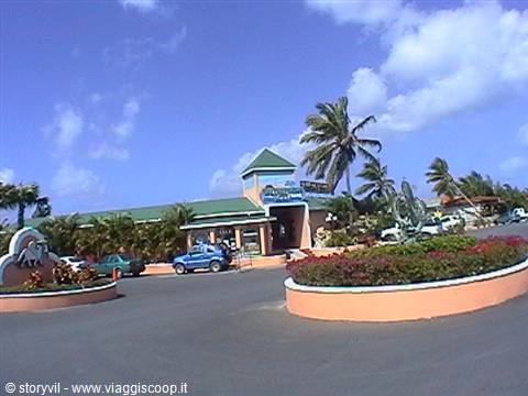 Green-roofed building among palm trees, round flower bed and parked cars