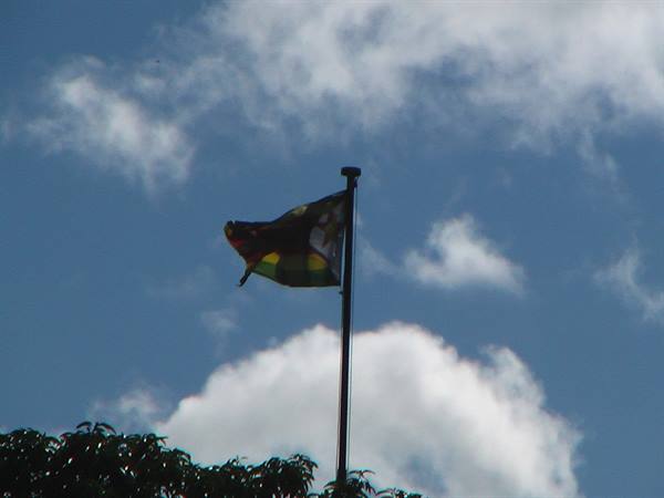 A colorful flag waves on a metal pole against a cloudy blue sky