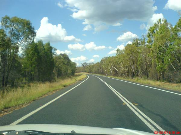 Car on asphalt road lined with eucalyptus trees under cloudy sky